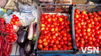 Скільки коштують помідори на луцькому ринку: огляд цін