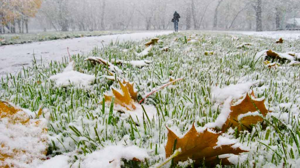На Волині випав перший сніг