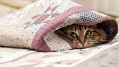 прогноз погоди, похолодання в україні