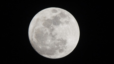 Місячний календар на січень 2026