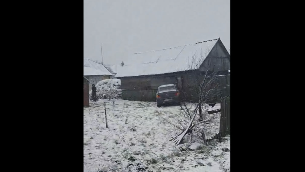 Через слизьку дорогу на Волині водійка легковика злетіла з дороги, протаранила огорожу і в'їхала у хлів