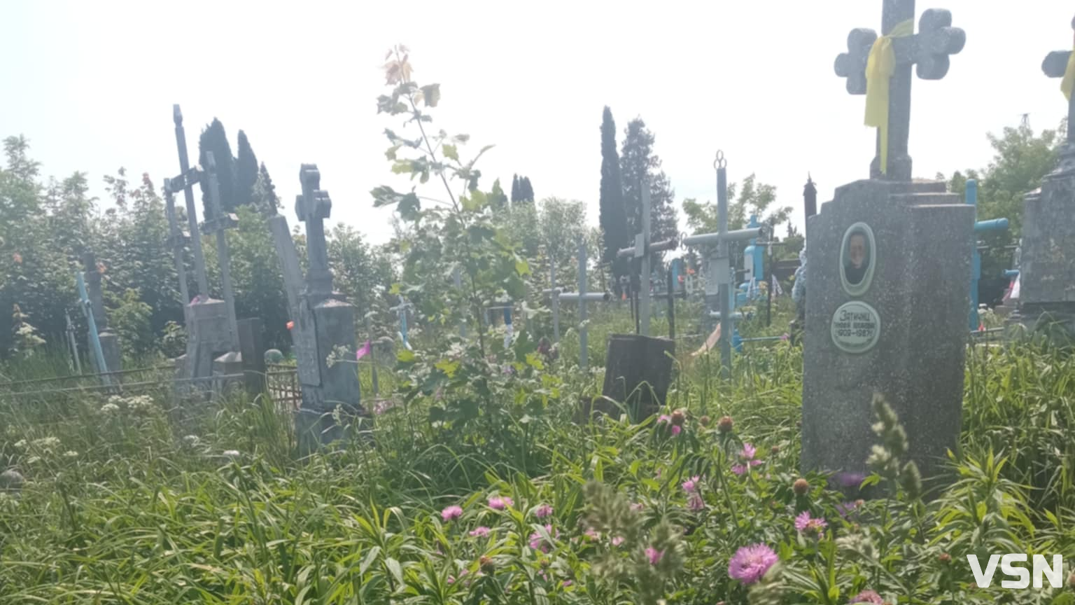 Забуте серед бур’янів: як виглядає старе кладовище у містечку на Волині