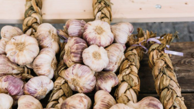 Не 1, а 3 причини: чому озимий часник слід саджати в листопаді