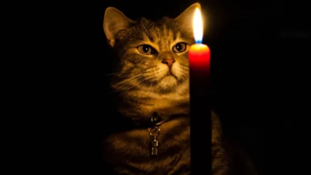 На Волині 9 грудня діятимуть обмеження електроенергії: коли вимикатимуть світло