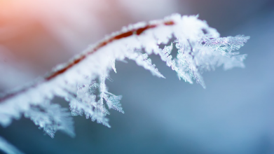 прогноз погоди