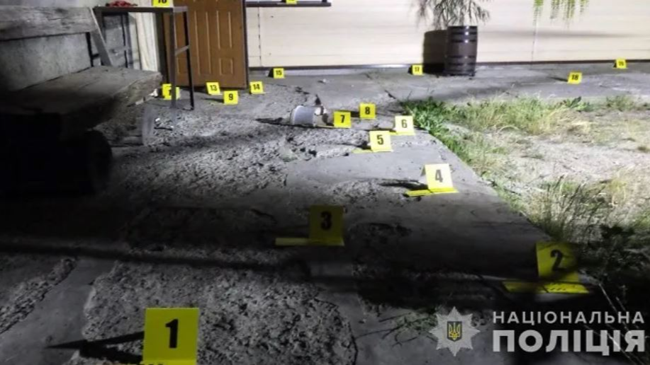 Волинянка кинула гранату у чужий двір, щоб налякати пса - як її покарали