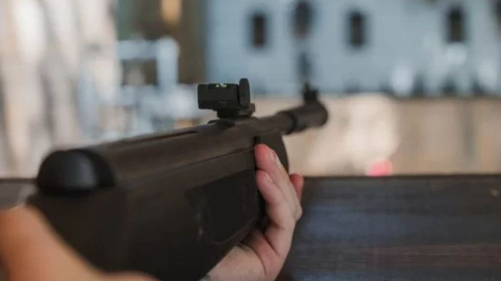 На Волині неповнолітній стріляв в односельця з пневматичної гвинтівки: як покарали матір хлопця