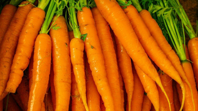 Сійте моркву тільки так — і не доведеться проривати: перевірений спосіб, про який ви не знали