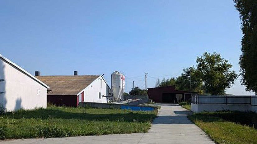 У Луцьку продають велике свинарське підприємство за 4 мільйони євро