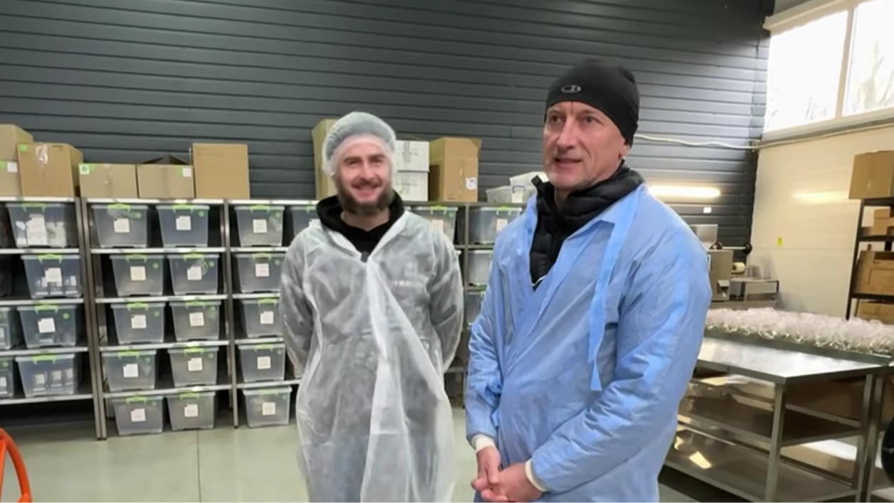 У Луцьку ветерани створили власний чайний бренд і віддають зароблене на допомогу військовим