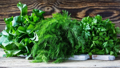 як отримати хороший врожай кропу та петрушки