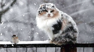 Погода в Україні 10 квітня