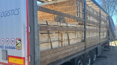 На митниці вилучили вантаж соснового лісу з Волині на пів мільйона гривень