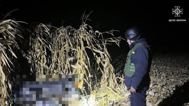 У селі Луцького району знайшли вибуховий предмет сучасного типу