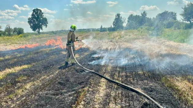 На Волині через підпал стерні ледь не згоріло зернове поле: палія оштрафували