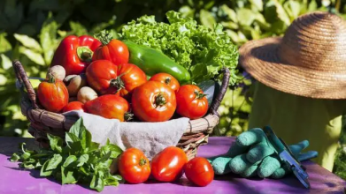 Чому біля помідорів категорично не можна садити картоплю і перець