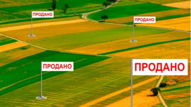 Ціни на землю у 2025 році: на Волині гектар коштує понад 53 тисячі гривень