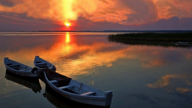 Містичний острів, лікувальні води, олені та ретротехніка: відомі блогери розповіли про відпочинок на Шацьких озерах