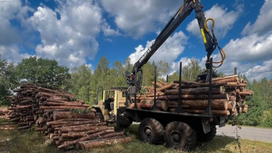 На Волині виявили деревину, яку незаконно вантажили краном на лісовоз
