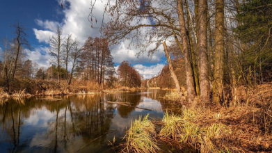 погода в україні