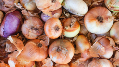 чому цибуля гниє взимку