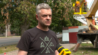 Свердлили стовбури і заливали отруту: як у Луцьку намагаються врятувати 40-річні дерева