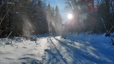 морози в Україні