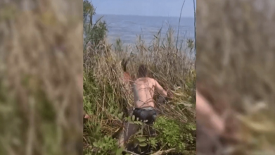 Вціліла після підриву Каховської ГЕС: до Одеської області припливла козуля. Відео