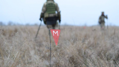 В Україні затвердили нову професію: що відомо