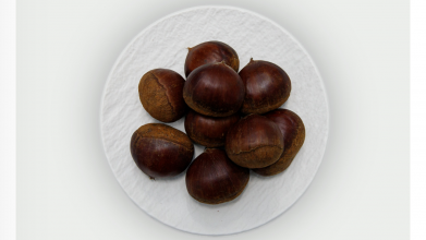 Каштан їстівний – як обрати, зберігати та замовити онлайн