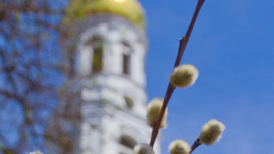 Розклад богослужінь у храмах Луцька на Вербну неділю