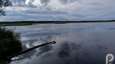 Приховане диво Волині: як дістатися до загадкового озера Черського