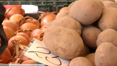 Чоловік - у ЗСУ: волинянка вирощує понад 70 сортів картоплі