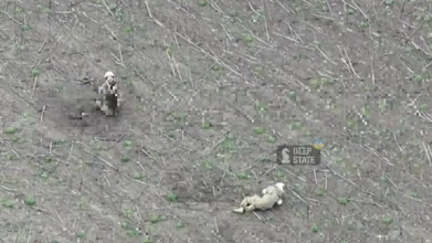 «Перемир’я» під вогнем: окупанти дроном вбили поранених українських бійців на Запоріжжі