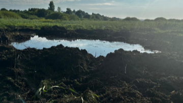 «Почула гуркіт, а потім як бахне»: очевидці розповіли про падіння винищувача на Волині