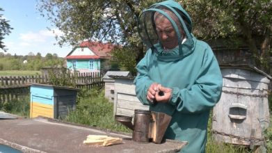 «Поки не вмру, бджіл не покину»: 84-річний пенсіонер із Волині власноруч будує вулики і тримає пасіку