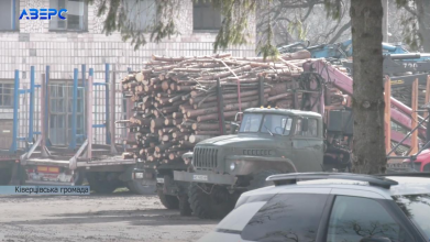 На Волині пенсіонерка купила дрова і потрапила у кримінал: чого так трапилося