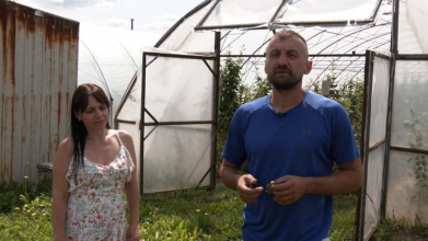 Вирощують ягоди, помідори, теплиці з квітами і гектари зернових: родина фермерів з Волині господарює вже 17 років
