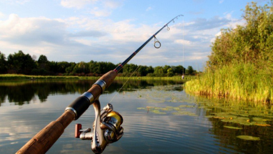 риболовля, удар струмом, Закарпаття