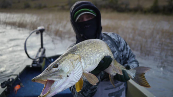 Місячний календар рибалки на грудень 2025 року: в які дні ловити щуку