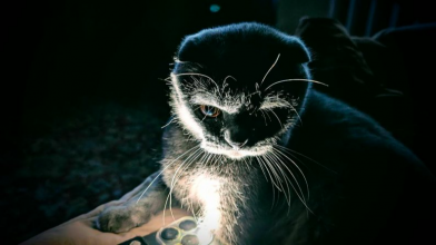 Де та коли не буде світла на Волині 21 березня: погодинний графік відключень