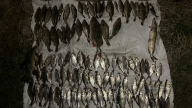 На Волині браконьєр під час нересту наловив риби на майже пів мільйона гривень