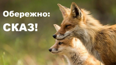 У трьох селах Волині запровадили карантин через сказ у кота та в лисиці