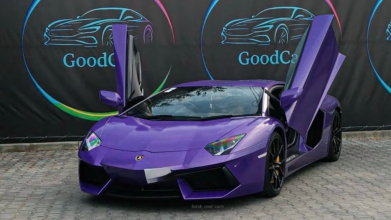 Митники Волині виявили незаконне користування елітним авто на «євробляхах»