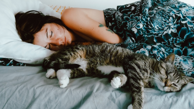 5 причин, чому небезпечно спати з котом в одному ліжку
