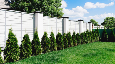 Бур’яни вздовж паркану зникнуть за добу: прості способи без зайвої хімії