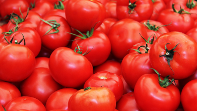 В Україну потрапили турецькі помідори, заражені томатною міллю