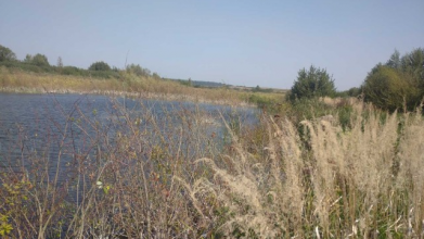 На 10 років: у селі на Волині віддають в оренду ставок