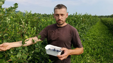 Замість окопів — ягідна плантація: історія ветерана з Волині, який після поранення став фермером
