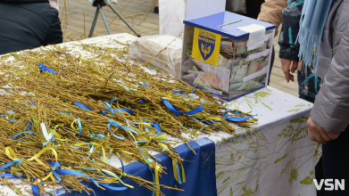 «Вербу купляю - перемогу наближаю»: волинські волонтери збирали кошти для 100-ї бригади